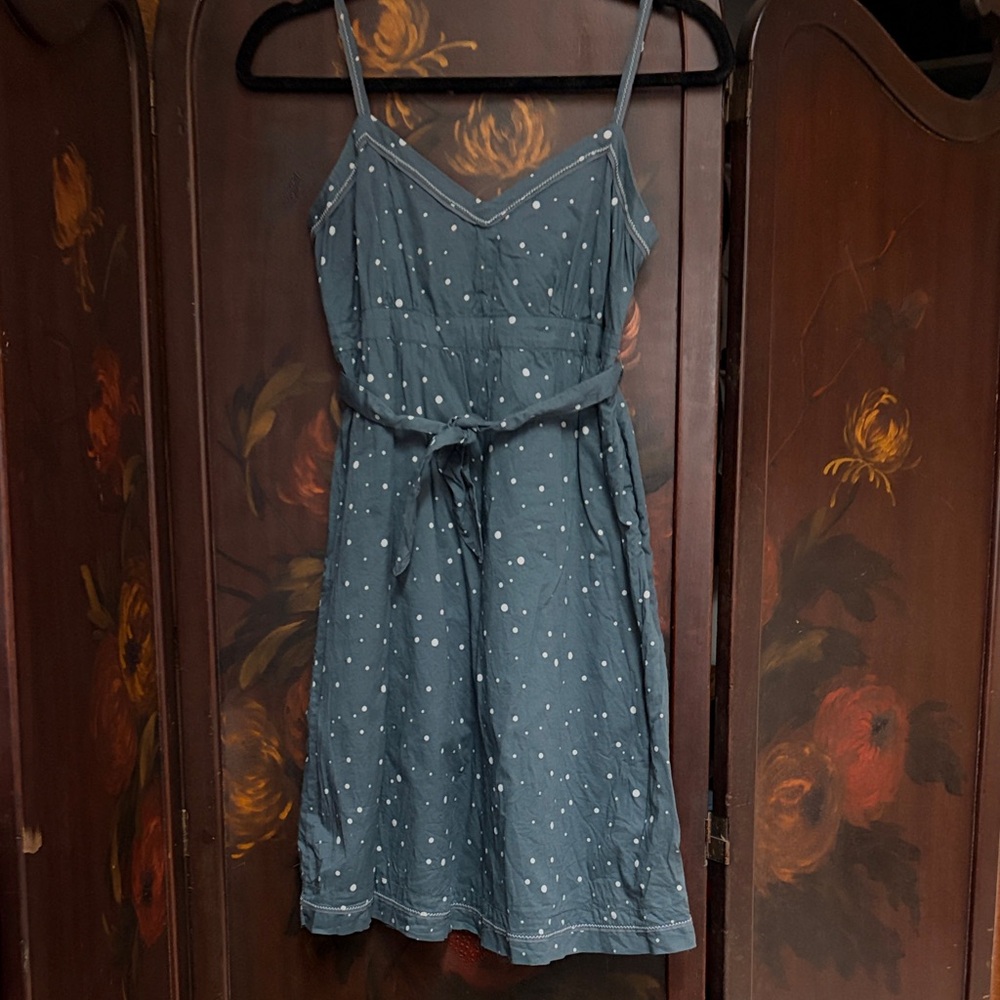 American Eagle Outfitters Blue Polka Dot Mini Dress